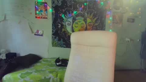 Snapshot of lileyfoxxx chatting on 03/19/26, 02:59 Lil online show from 03/19/26, 02:59