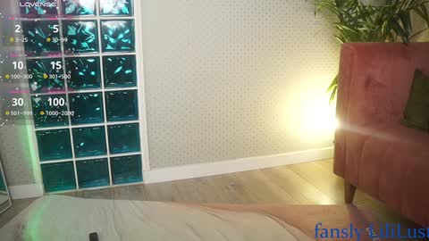 Snapshot of lili_01 chatting on 01/21/25, 11:56 Lili online show from 01/21/25, 11:56