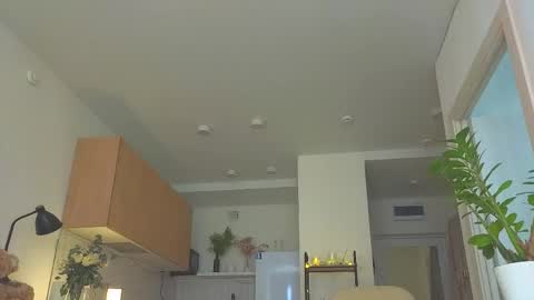 lili__roze_ online show from 04/13/26, 05:24