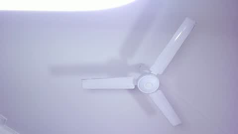 Snapshot of lilith_and_marcusblain chatting on 01/04/25, 10:24 Lili  Marcus online show from 01/04/25, 10:24