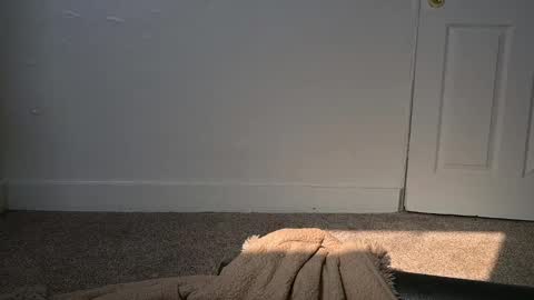 L online show from 03/04/25, 04:30