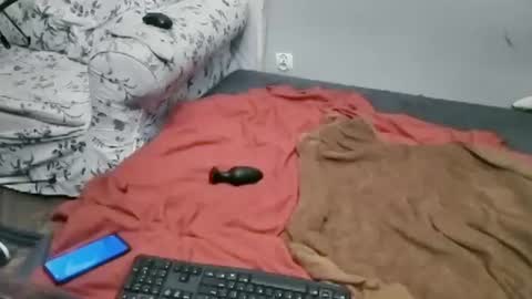 Snapshot of lillysissi chatting on 07/02/26, 11:11 Lilli Sissy SlutCat online show from 07/02/26, 11:11