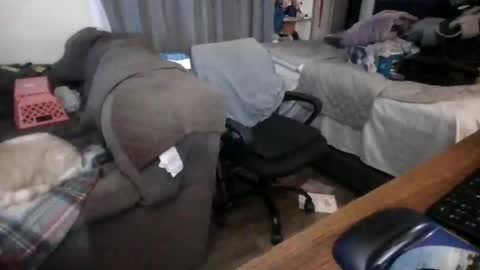 Snapshot of lilpackage69 chatting on 01/29/25, 03:44 lilpackage69 online show from 01/29/25, 03:44