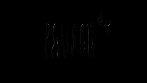 Snapshot of lilpresident chatting on 12/25/24, 04:11 lilpresident online show from 12/25/24, 04:11