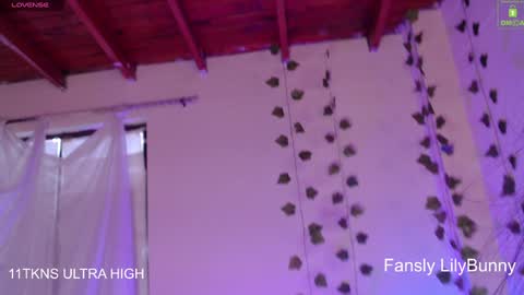 Fansly LilyBunny- help me reach 50 thumbs up online show from 12/06/24, 10:19