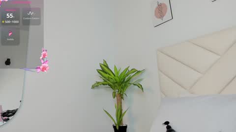 Snapshot of lily_evil chatting on 12/01/24, 07:03 online show from 12/01/24, 07:03