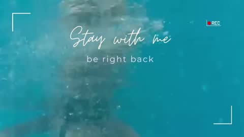 Lily online show from 09/25/25, 05:33