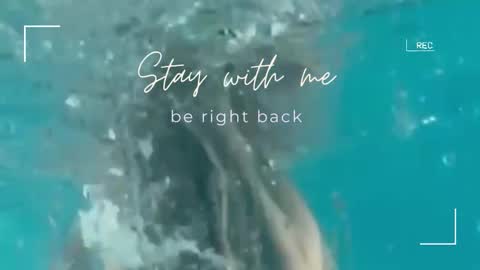 Lily online show from 09/30/25, 07:02