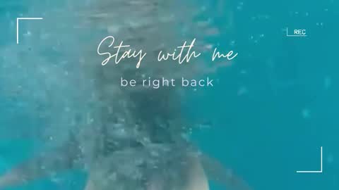 Lily online show from 11/02/25, 06:27