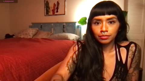 Snapshot of lily_henry chatting on 11/05/25, 05:29 Little Lily online show from 11/05/25, 05:29