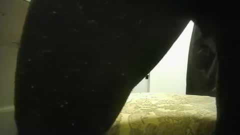 lily lovelyman online show from 12/19/24, 09:17