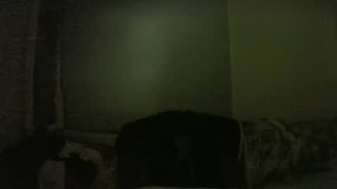 lily lovelyman online show from 02/01/25, 06:08