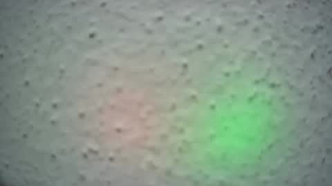 lily lovelyman online show from 02/13/25, 06:52