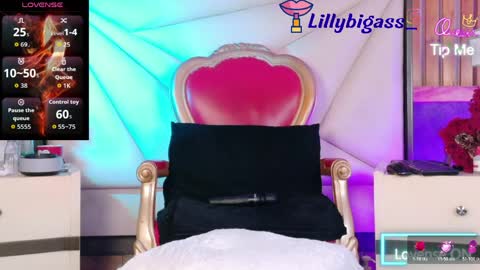 Snapshot of lilyybigass chatting on 06/03/26, 12:08 Lilly online show from 06/03/26, 12:08