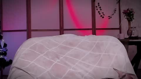 Snapshot of lina_n_kitty chatting on 12/16/24, 11:44 Lina - online show from 12/16/24, 11:44