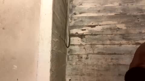 Richie Rich online show from 12/07/24, 10:34