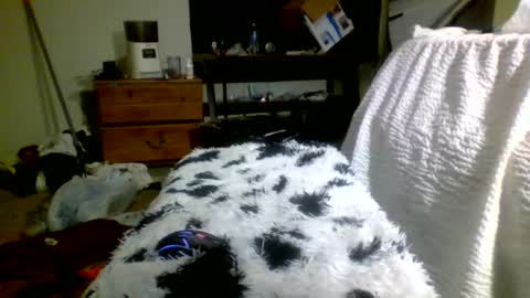 Richie Rich online show from 12/30/24, 05:13