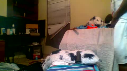 Richie Rich online show from 01/05/25, 08:22