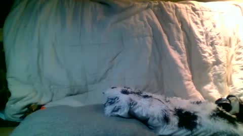 Richie Rich online show from 01/13/25, 02:39