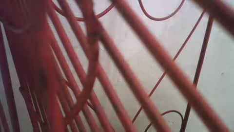 Richie Rich online show from 10/11/25, 05:00