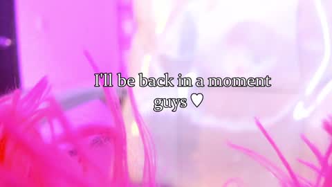 linda miller online show from 01/24/25, 07:51