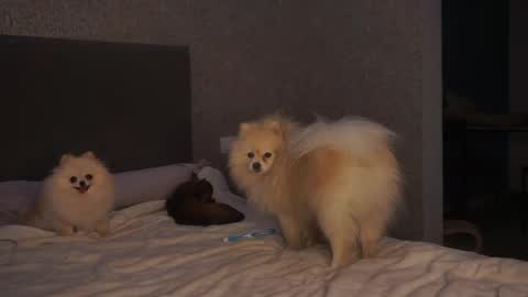 Linda online show from 05/05/26, 01:30