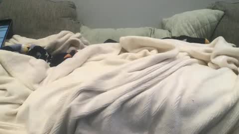 Snapshot of lingeriesissy12 chatting on 02/13/25, 11:04 lingeriesissy12 online show from 02/13/25, 11:04