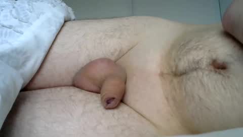 lion2662 online show from 01/03/25, 10:41