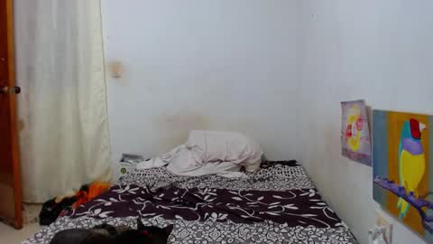 lion_grr online show from 12/16/25, 02:16