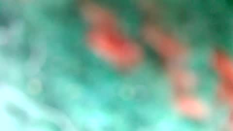 lionelearthquake online show from 03/11/25, 04:18