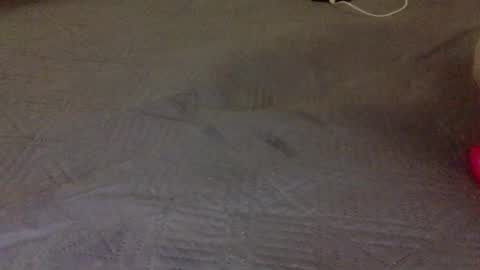 Snapshot of lipinhofortal853516 chatting on 11/10/25, 12:31 lipinhofortal853516 online show from 11/10/25, 12:31