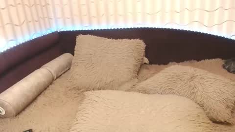 Snapshot of lipsaddiction chatting on 10/20/25, 12:38 LIpsAddiction online show from 10/20/25, 12:38