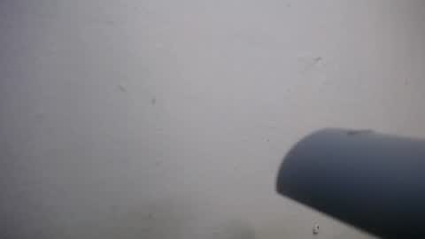 Snapshot of lisa_branch chatting on 11/04/25, 07:02 lisa_branch online show from 11/04/25, 07:02