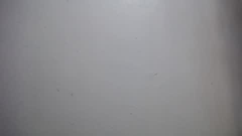 Snapshot of lisa_branch chatting on 12/14/25, 11:59 lisa_branch online show from 12/14/25, 11:59