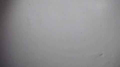 lisa_branch online show from 12/19/25, 11:06