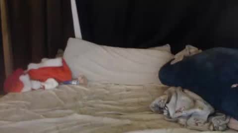 Lisa Tyler online show from 12/27/24, 07:40