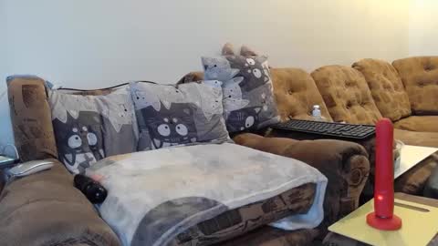 litisialove455 online show from 01/31/25, 09:27