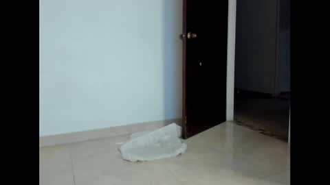 Danni online show from 12/09/24, 01:40