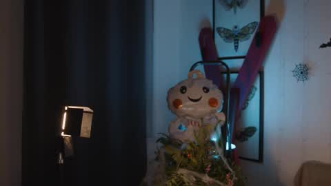 Anita B-day stream on 7TH DEC  online show from 10/28/25, 04:53