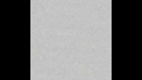 Adaline online show from 12/23/25, 08:34