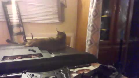 littlegrey376 online show from 02/18/26, 07:15