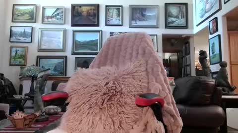 Snapshot of littlepistol chatting on 05/18/26, 06:36 Miss D Shows Mon Wed Fri online show from 05/18/26, 06:36