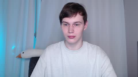 Snapshot of littlesadcabbage chatting on 12/11/24, 12:23 Sonnenschein online show from 12/11/24, 12:23