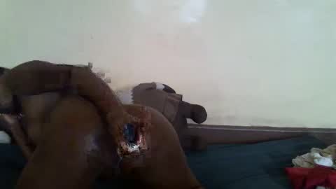 littlesandie online show from 03/10/25, 12:04