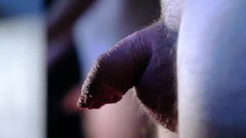 littlescrapper69 online show from 10/09/25, 03:04