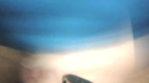 Snapshot of littlestick chatting on 01/12/26, 08:41 littlestick online show from 01/12/26, 08:41