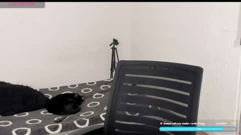 Snapshot of liu_mystik chatting on 04/06/26, 09:38 Liu help me to reach 100 thumps up daddy online show from 04/06/26, 09:38