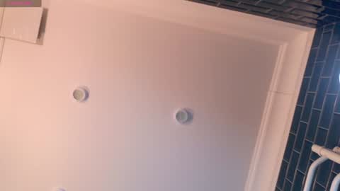 Snapshot of liv_fay chatting on 12/21/24, 02:37 Liv 3 online show from 12/21/24, 02:37