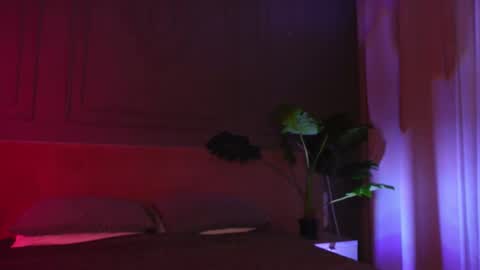 Snapshot of liv_fay chatting on 03/12/26, 04:57 Liv 3 online show from 03/12/26, 04:57