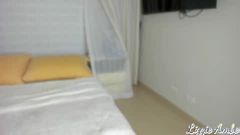 Snapshot of lizzieamber chatting on 01/31/25, 11:03 lizzieamber online show from 01/31/25, 11:03